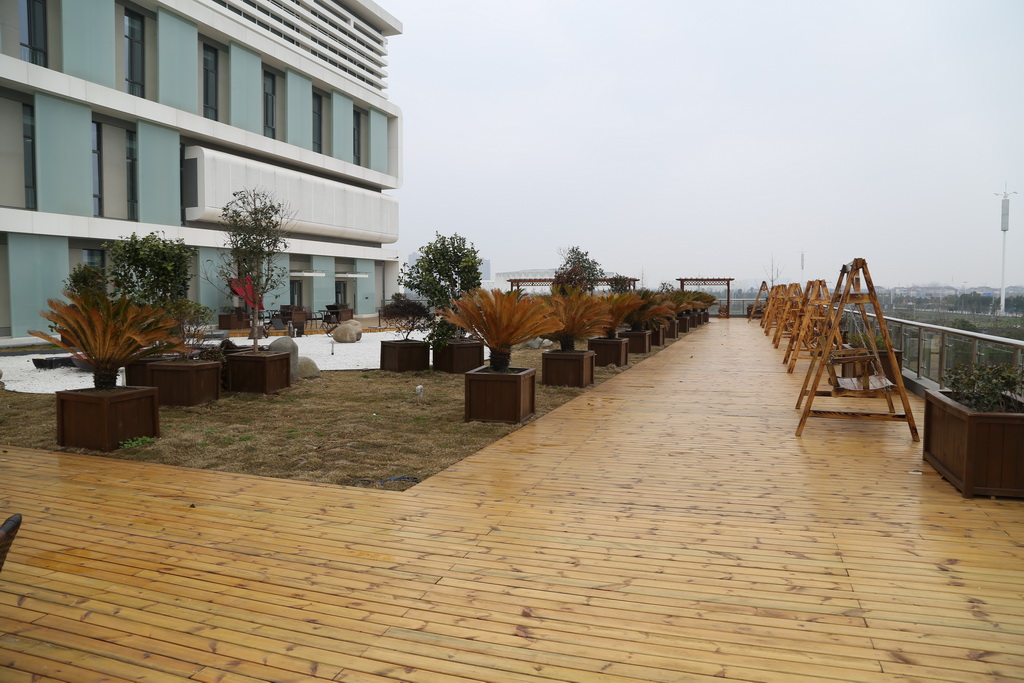 1577173914459006491.jpg?v=1766247293134 露天休闲区1.jpg?v=1766247293134